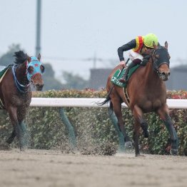 【根岸Ｓ】コスタノヴァが得意の東京で重賞初制覇