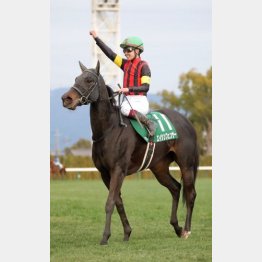 ①着エイシンフェンサー（川又騎手）「これから先は僕自身も達成していない域なので、馬と歩んで行きたいです」