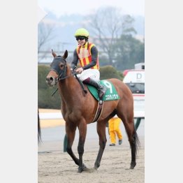 ①着コスタノヴァ（横山武騎手）「上位人気にしてもらっていたので、期待に応えられて良かったです」