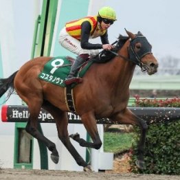 【根岸Ｓ】重賞初制覇を決めた２頭、次はどうなる！？　４馬身差圧勝コスタノヴァは中２週がネックだが使ってくればＧⅠでも