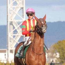 【きさらぎ賞】クラシックへの登竜門　サトノシャイニング３歳初戦を白星で飾れるか