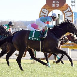 【東京新聞杯】データ作戦　牝馬から目を離すな！