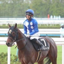 【市川の土曜競馬コラム・アルデバランＳ】