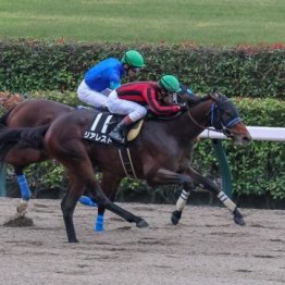 【飯島の土曜競馬コラム・アルデバランＳ】