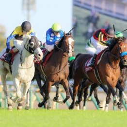 【武田の土曜競馬コラム・早春Ｓ】