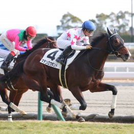 【田中の土曜競馬コラム・テレビ山梨杯】