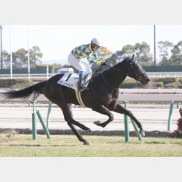 デビュー戦は５馬身差の圧勝