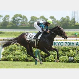 新馬戦以来のＶを目指す