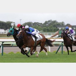 昨夏の函館で初勝利