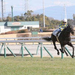 【大阪本紙・弘中の土曜京都10Ｒ】