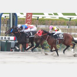 御陵Ｓを差し切って３連勝