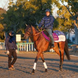 距離２戦目で今度は勝ち切る