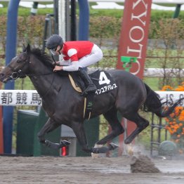 【播磨の日曜競馬コラム・令月Ｓ】