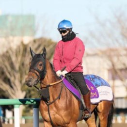 【新居の日曜競馬コラム・東京新聞杯】