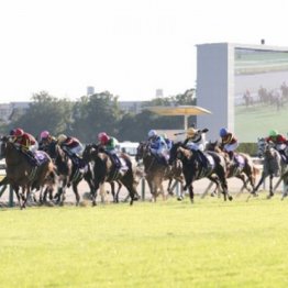 【武田の日曜競馬コラム・東京新聞杯】