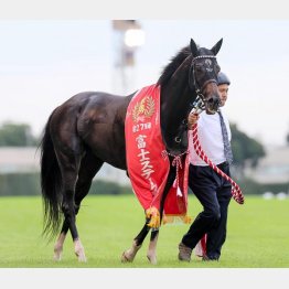 富士Ｓはソウルラッシュに完勝