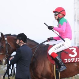 【京都記念】２冠牝馬チェルヴィニアがここから始動