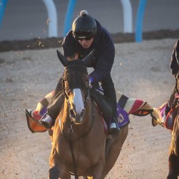 【京都記念】背が伸びて古馬らしい風格も　チェルヴィニア十分に合格点