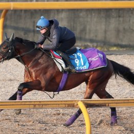 【京都記念】「ＧⅠでも通用する」（友道師） ヨーホーレイクここで巻き返す