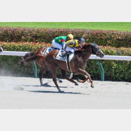 全２勝の東京に舞台が戻れば違う