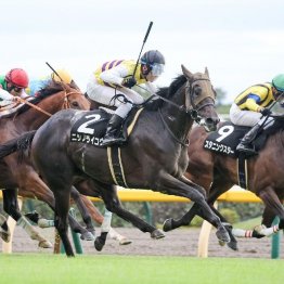 【東京本紙・外山の日曜東京９Ｒ】