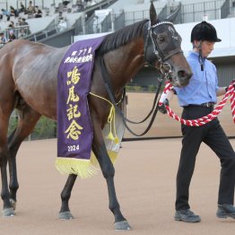 【京都記念】◎ヨーホーレイク　チェルヴィニアとの２頭軸　激絞り６点です