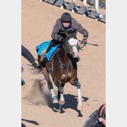 今週は死を鞍上に追い切った