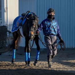 【市川の土曜競馬コラム・ダイヤモンドＳ】