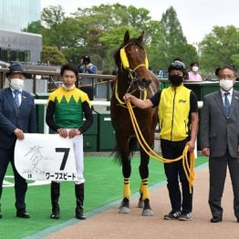 【飯島の土曜競馬コラム・ダイヤモンドＳ】