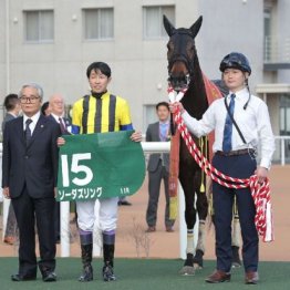 【木津の土曜競馬コラム・阪急杯】