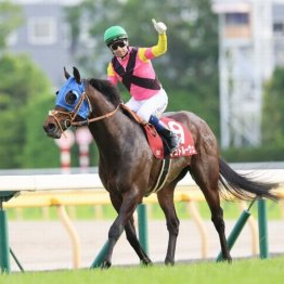 【武田の土曜競馬コラム・ダイヤモンドＳ】