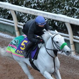 【大谷の日曜競馬コラム・フェブラリーＳ】