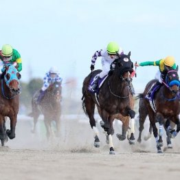 【武田の日曜競馬コラム・フェブラリーＳ】