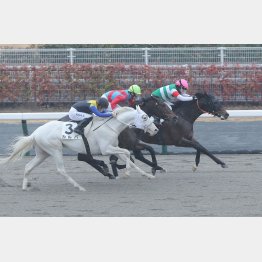 藤岡は競り合いを制したルディックの連勝期待