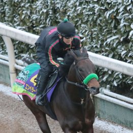 【フェブラリーＳ】◎エンペラーワケア　血統の後押し　大舞台で本領発揮