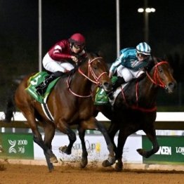 【サウジカップデー】日本馬４勝で、真価が問われる次のドバイミーティング