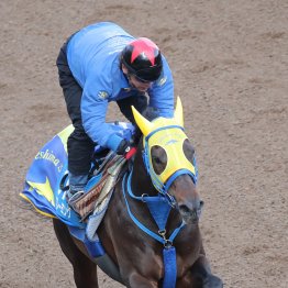 【中山記念】リフレーミング激走あり