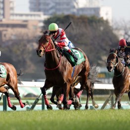 【オーシャンＳ】今年もあるか２ケタ大敗からの反撃