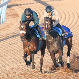 【中山記念】ツメの不安がなくなってウッド追い シックスペンス成長を見せた