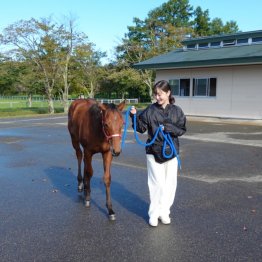 〈109〉グリーンチャンネル「中央競馬全レース中継」で活躍中の梅澤真理子さん（３）