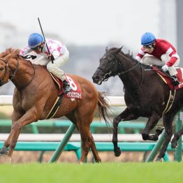 【中山記念】データ作戦　逃げ、先行の穴馬を狙え