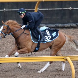 【田中の土曜競馬コラム・阪神12Ｒ】