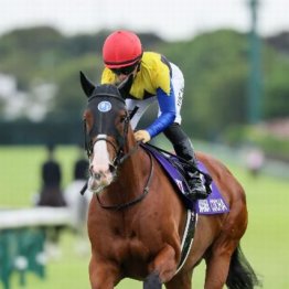 【市川の土曜競馬コラム・オーシャンＳ】