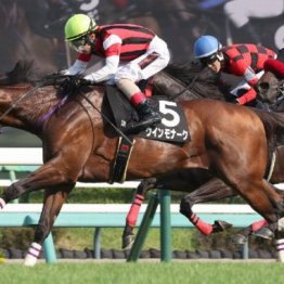 【飯島の土曜競馬コラム・オーシャンＳ】