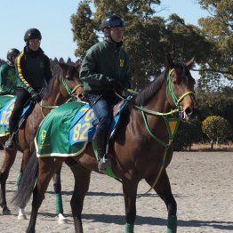 【木津の土曜競馬コラム・オーシャンＳ】