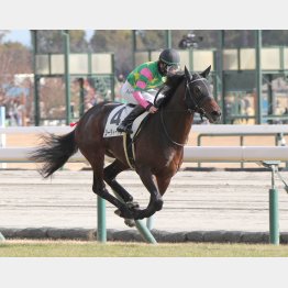 新馬戦は②着に2馬身差をつけた