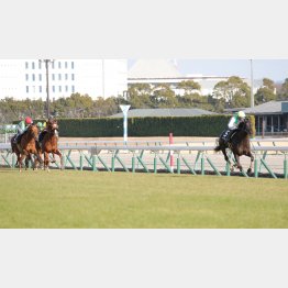 前走は楽々抜け出し②着に4馬身差の完勝