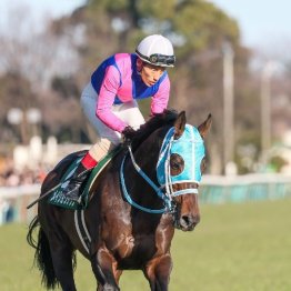 【橘の日曜競馬コラム・中山記念】