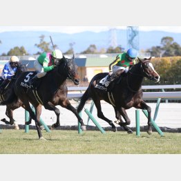 昇級初戦の前走が②着（左）