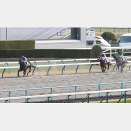 初ダートで７馬身差の圧勝